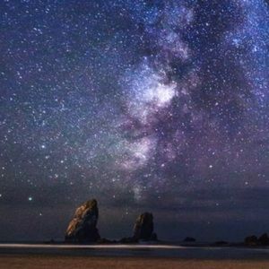 Meet your Posher, Ellie